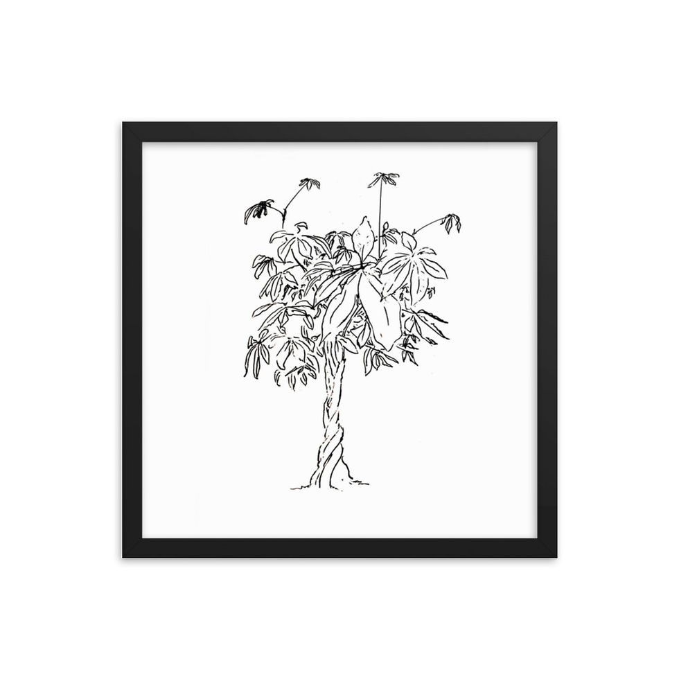 Thumbnail: MONEY TREE hand drawn in Alaska by Yours Truly