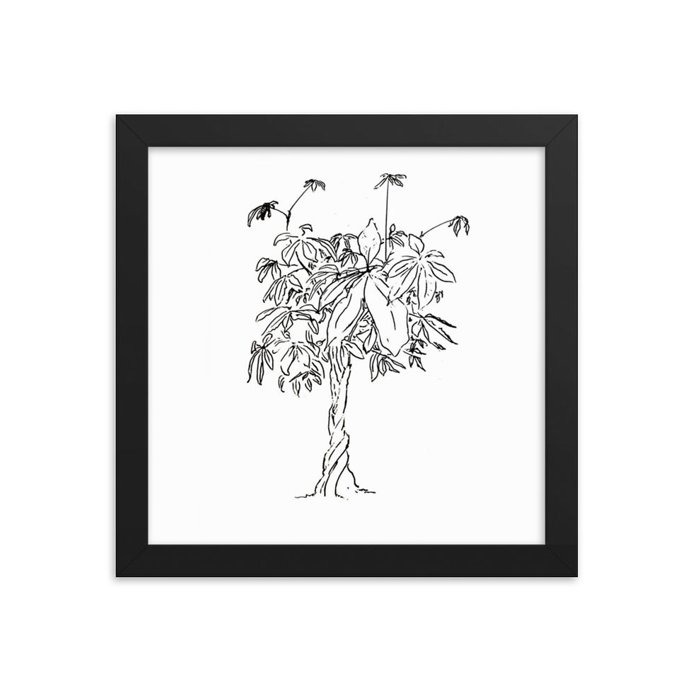 Thumbnail: MONEY TREE hand drawn in Alaska by Yours Truly