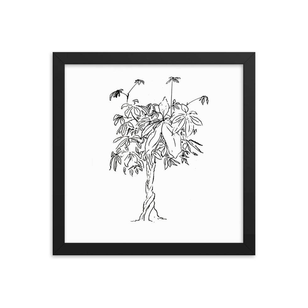 Thumbnail: MONEY TREE hand drawn in Alaska by Yours Truly