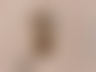 ワンちゃん用のフック設置