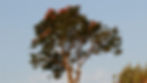 PHOTO PAGE 1.jpg