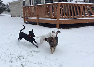 Playtime with my siblings!