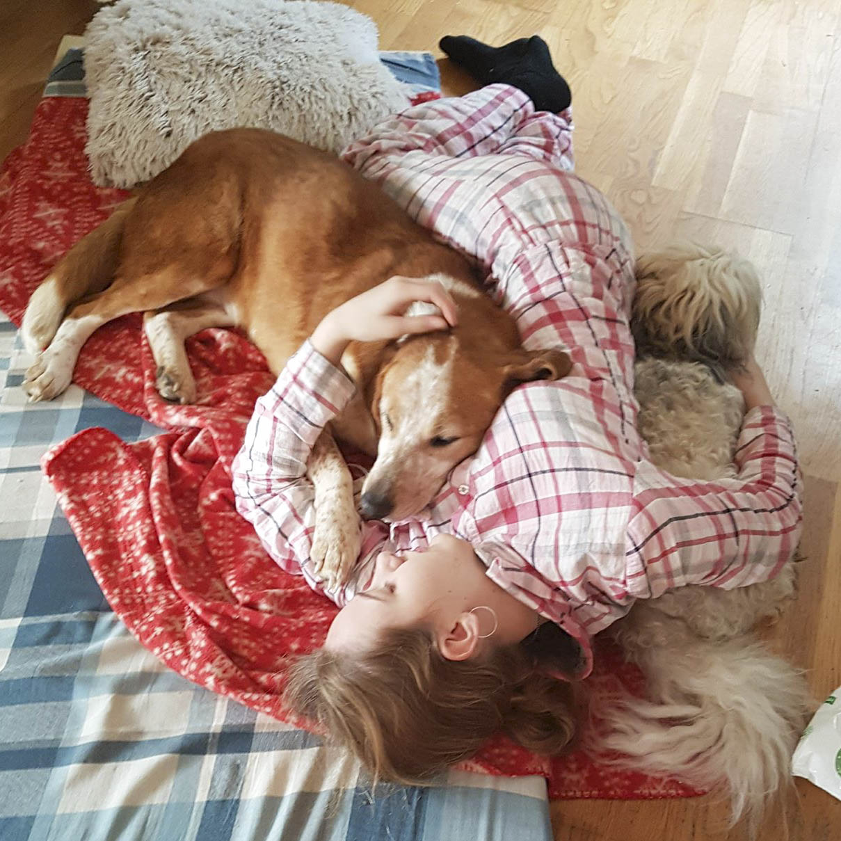 Sasha - Denmark