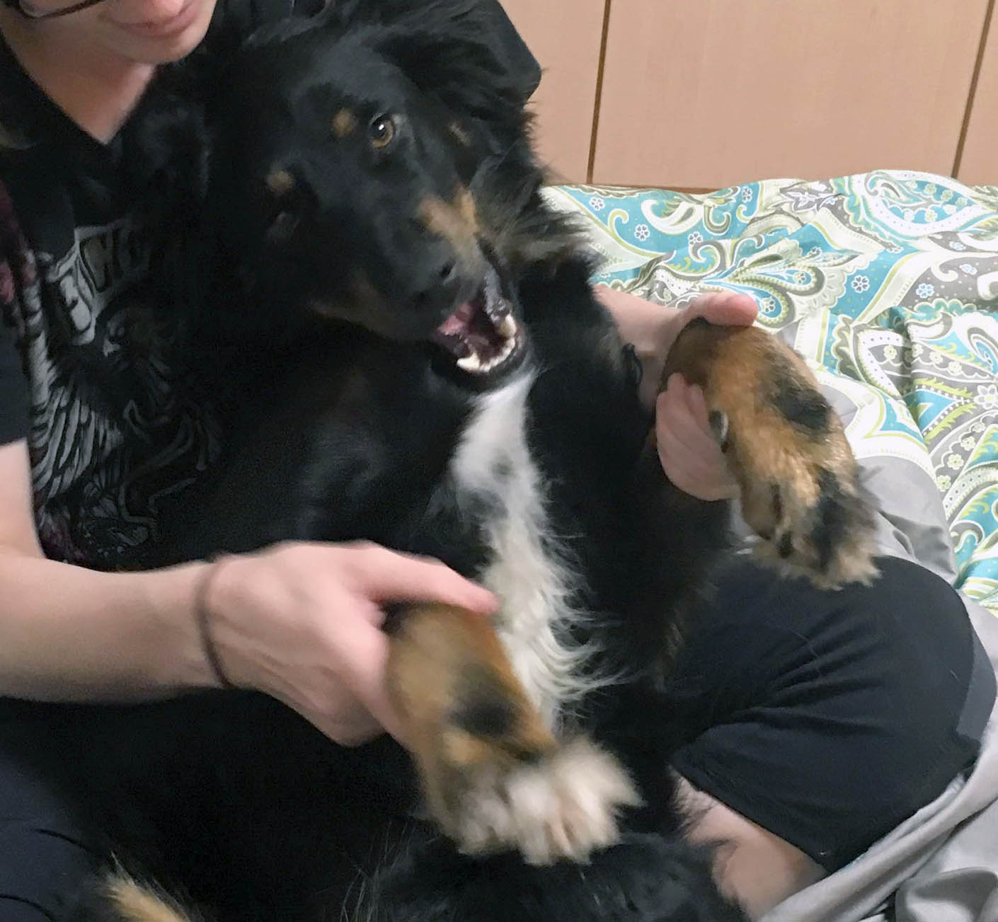 Max - Germany