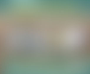 10 Years of #savingbosnianstrays 🐾