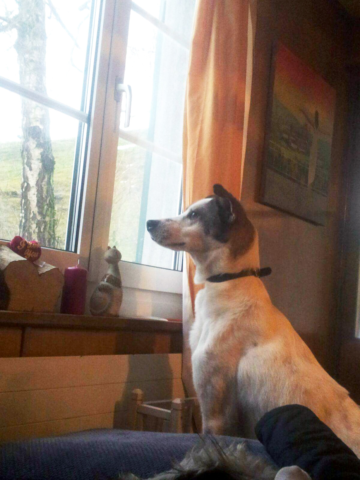 Felix - Switzerland