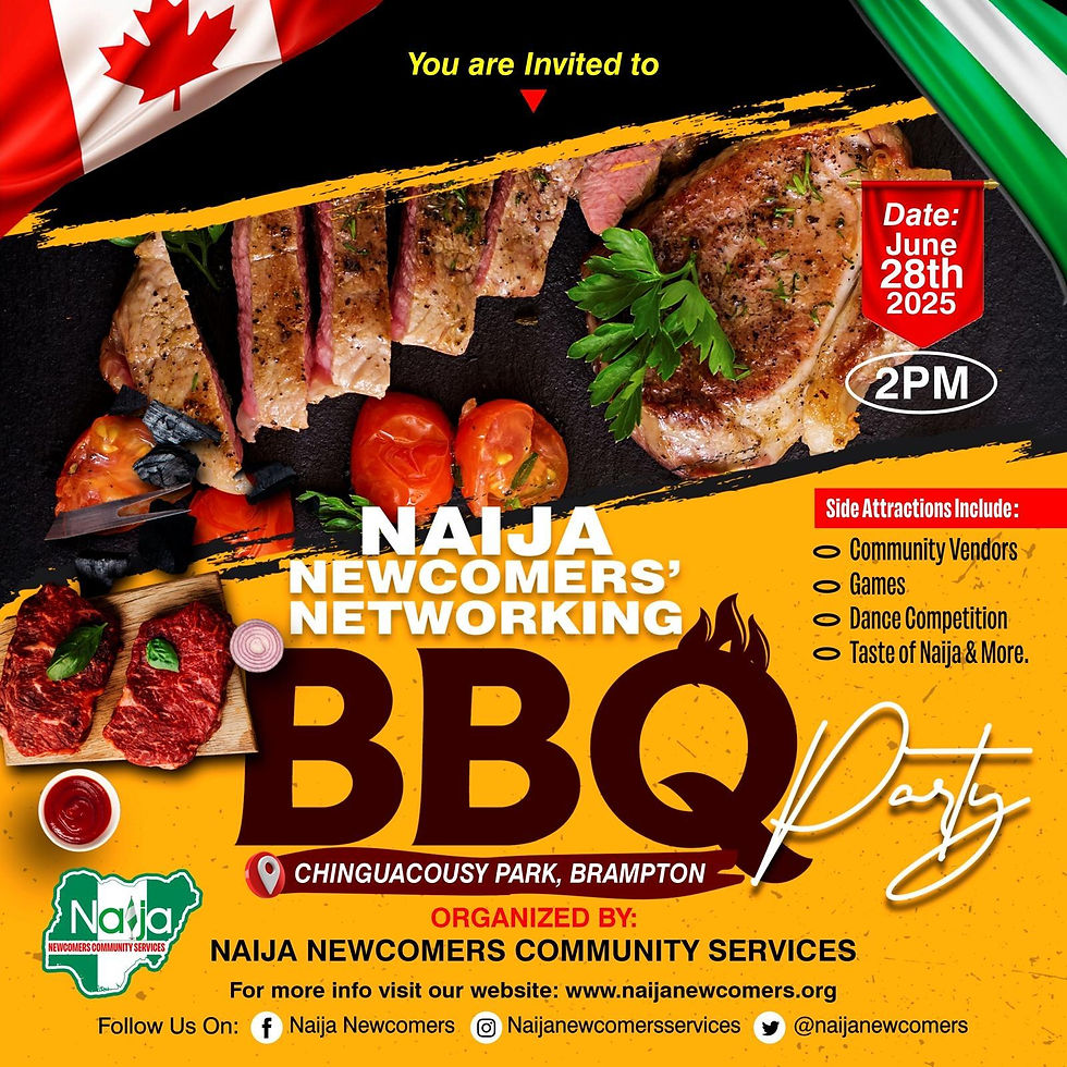 African Newcomers' Networking BBQ Party