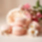 create a picture with blush macarons and a cream color background and some delicate flower