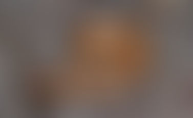 Time For Another Species Profile - Burton’s Legless Lizard