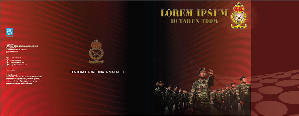 Design 1 for TDDM