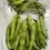 Thumbnail: broad beans