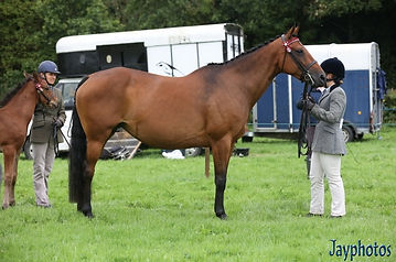 Launceston Show 23.jpg