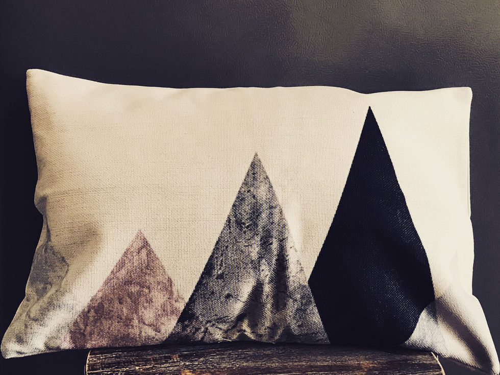 Housses de coussin triangle