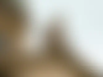 Швейцария достигла соглашения с США о снижении пошлин до 15%