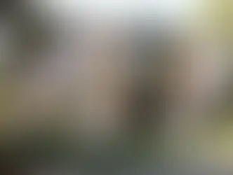 В Лозанне из Римского музея украли золотые монеты