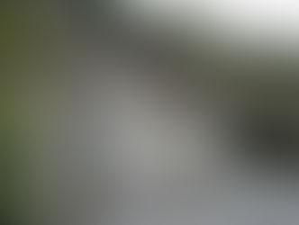 Посольство РФ: волонтёры полностью очистили от краски памятник Суворову