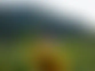 Разрыв между городскими и сельскими районами в Швейцарии продолжает увеличиваться