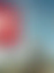 Женева стала крупнейшим донором Швейцарии по выравниванию бюджетных расходов в 2026 году