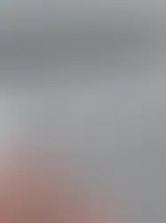 Швейцария вошла в число привилегированных стран для переговоров с США