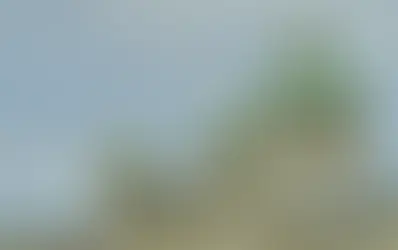 Правительство Швейцарии планирует повысить НДС на военные расходы