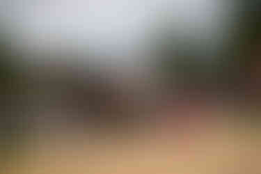 Swingen, Unspunnen 2006 ©Mike Gorsky