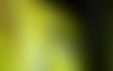 В Лозанне арестованы двое молодых людей в возрасте 15 и 18 лет, выдававшие себя за полицейских