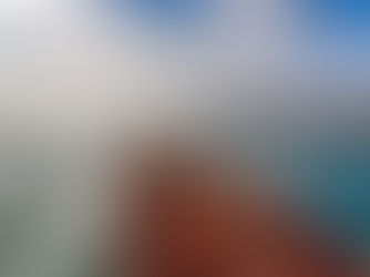 Границы Швейцарии не омывают волны ни одного моря, но, несмотря на это, у Швейцарии имеется свой собственный морской флот. 9 апреля 2021 года торговому флоту Швейцарии исполнилось 85 лет. 