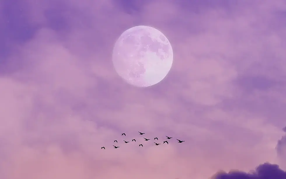 В ночь с 1 на 2 апреля швейцарское небо украсит редкое астрономическое явление. Она будет видна уже с 19:30, но в 4:11 утра достигнет своего пика.