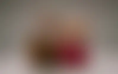 Собака вместо ребёнка: население Цюриха увеличивается, но не за счёт рождаемости детей