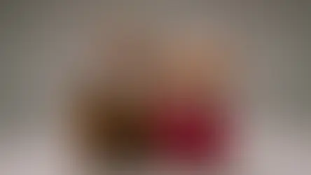 Собака вместо ребёнка: население Цюриха увеличивается, но не за счёт рождаемости детей