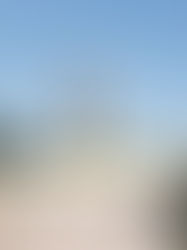 Швейцарский военный аналитик назвал причину пересмотра Западом итогов ВОВ