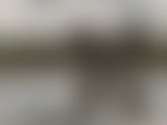 По меньшей мере 75% швейцарцев сомневаются в способности страны защитить себя от нынешних угроз. Согласно опросу компании Sotomo, большинство хочет увеличить военный бюджет до 2% ВВП.