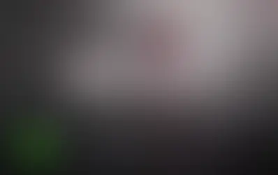 В Швейцарии отменили показ фильма о Майдане на Украине в 2014 году