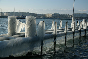 L'hiver glacial 2012 à Genève / ©Mike Gorsky