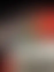 Женева, Цюрих и Люцерн встретят Новый Год праздничными фейерверками