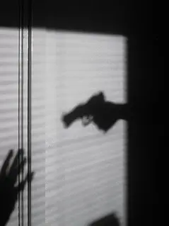 В регионе Женевского озера возросло количество случаев краж со взломом