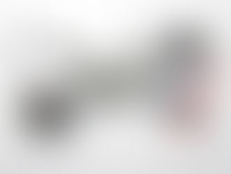 В Швейцарии роботы могли подделать подписи для референдума