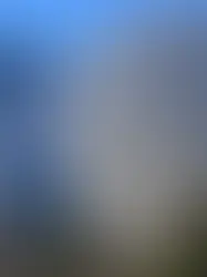 Жители Валлиса против антенн Starlink Илона Маска