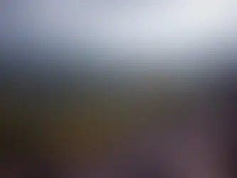 В конце апреля 1986 года Швейцария, как и вся Европа, столкнулась с очень высоким уровнем радиоактивности в воздухе. Это было прямым следствием взрыва четвёртого реактора на Чернобыльской АЭС в ночь с 25 на 26 апреля.