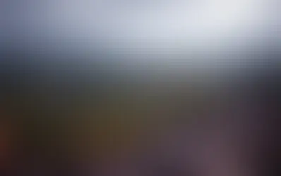 В конце апреля 1986 года Швейцария, как и вся Европа, столкнулась с очень высоким уровнем радиоактивности в воздухе. Это было прямым следствием взрыва четвёртого реактора на Чернобыльской АЭС в ночь с 25 на 26 апреля.