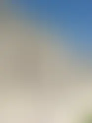 Российские и украинские парламентарии могут встретиться в Женеве в конце июля