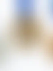 Россия потеряла первое место в медальном зачёте на Олимпиаде-2014 по решению суда в Лозанне