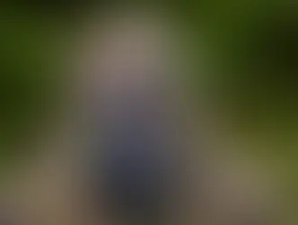 Швейцарцы подавляющим большинством голосов отклонили инициативу «Гражданская служба»