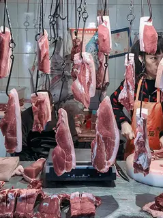 Методы, причиняющие боль животным, должны будут указываться на упаковках