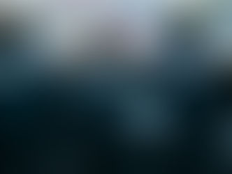 Швейцарская полиция дважды использовала огнестрельное оружие в 2023 году