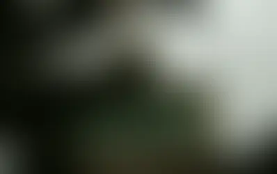 Швейцария ввела санкции против российских лиц и компаний вслед за ЕС