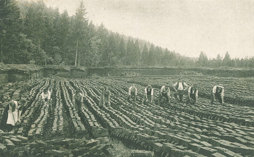Добыча торфа около 1920 года. Библиотека ETH