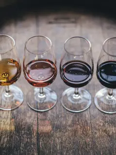 Маршрут по виноградникам вокруг озера Биль в Тванн