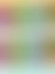 Швейцарский национальный банк представляет на обсуждение общества новые банкноты