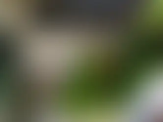 «Сделано» или «разработано»: новый стандарт Швейцарии